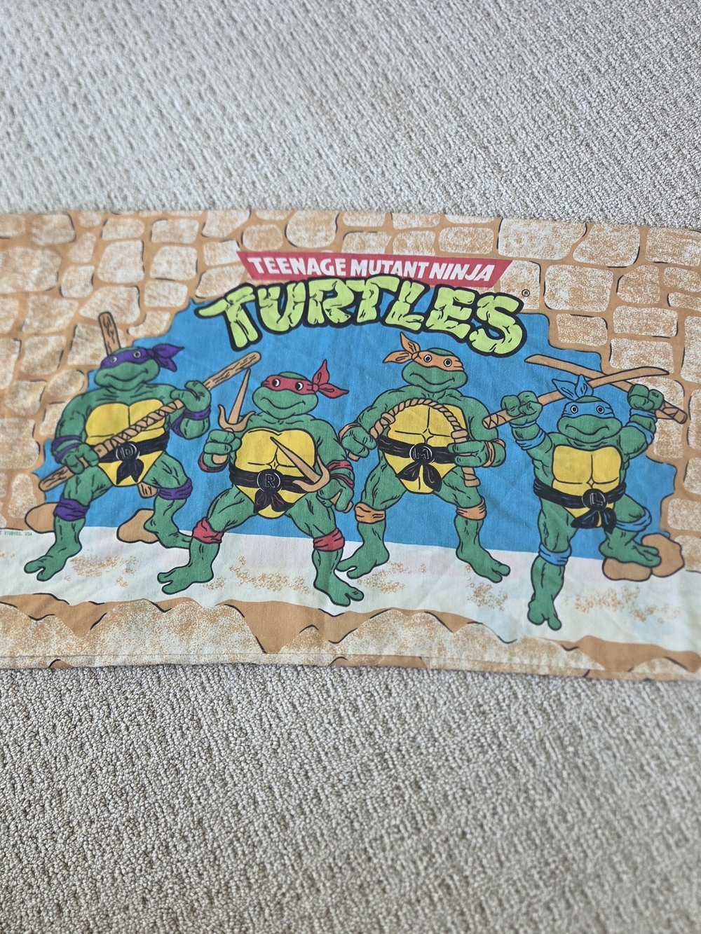 1988 Teenage Mutant Ninja Turtles Mirage vintage pillowcase